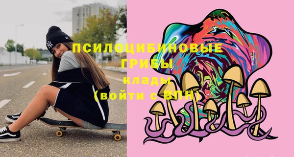 не бодяженный Каменка