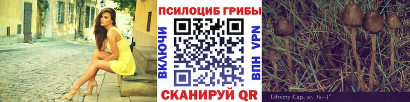 Псилоцибиновые грибы MAGIC MUSHROOMS  Купить закладки  Канаш 