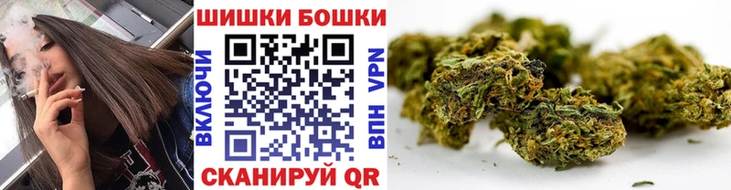 Бошки Шишки конопля  Купить закладки  Канаш 